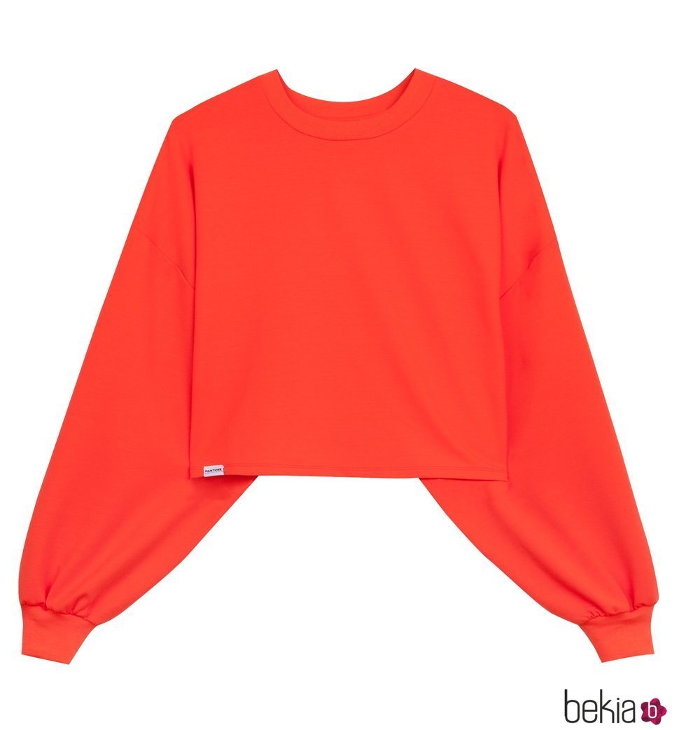 Sudadera corta naranja colección Pantone by Bershka