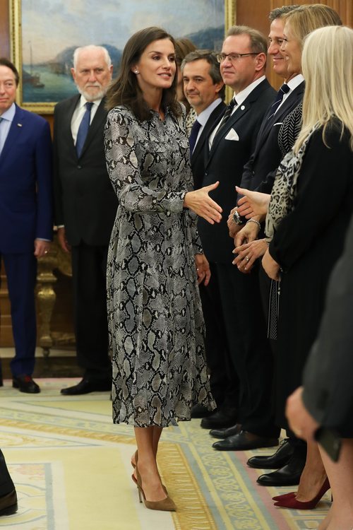 La Reina Letizia con un vestido animal print de Massimo Dutti en las Juntas Directivas de las Academias Europea y Española de Dermatología y Venerología