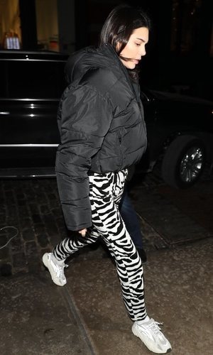 Kendall Jenner de animal print